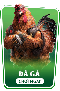 đá gà 999ok